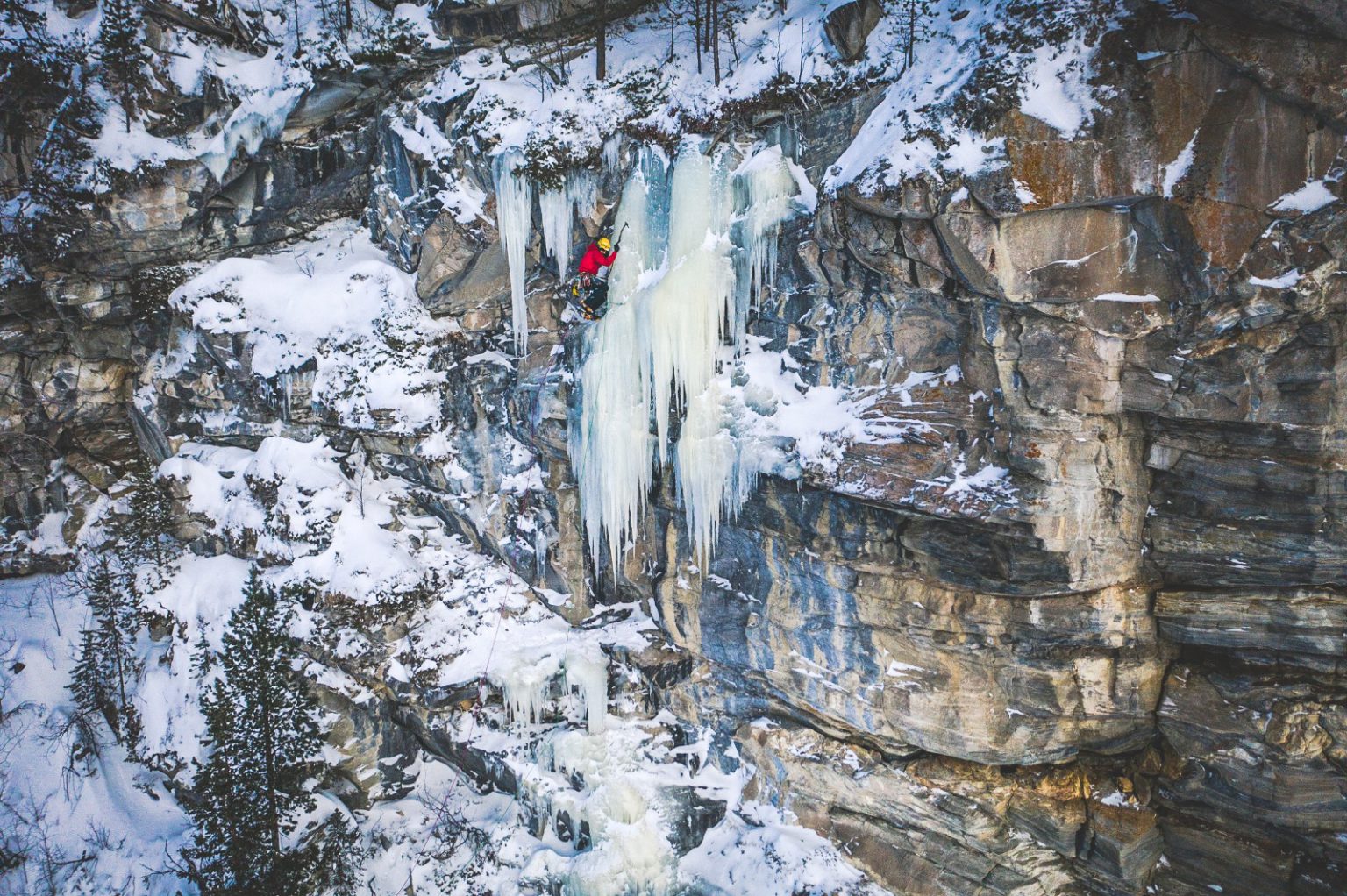 d88b3fc6-ee08-4c6b-a9c6-12d536b15823